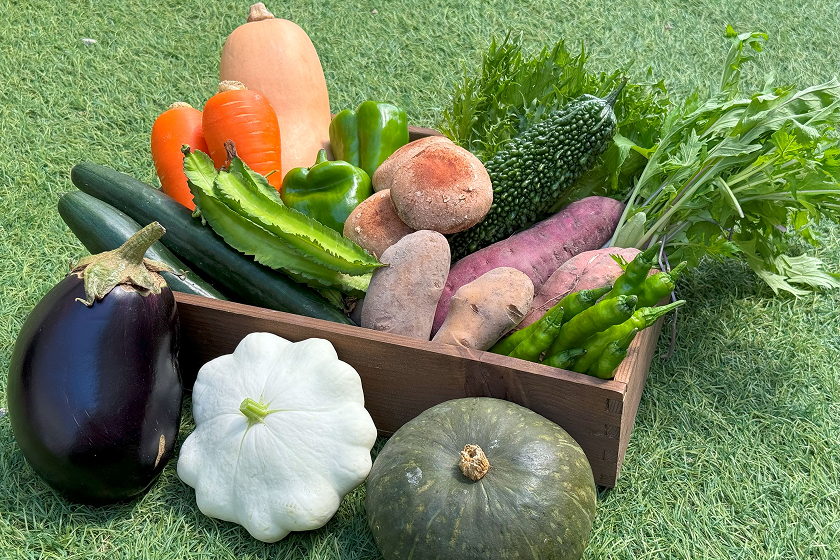 やさいのキラメキ