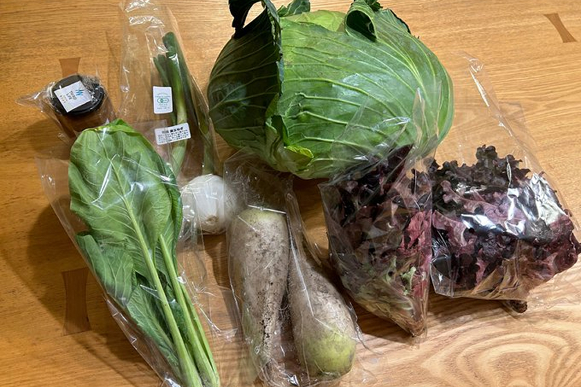 やさいのキラメキ